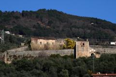 Pietrasanta - VersiliaCittà d'Arte 