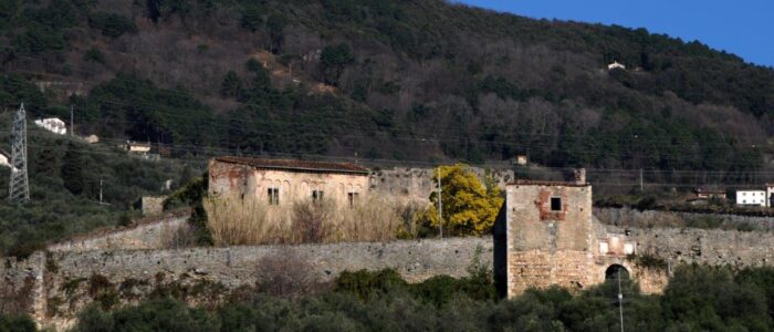 pietrasanta (8)
